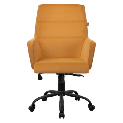 صندلی کارشناسی فوم دار کد S 5110