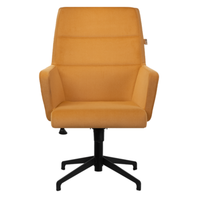 صندلی کنفرانسی فوم دار C 5110